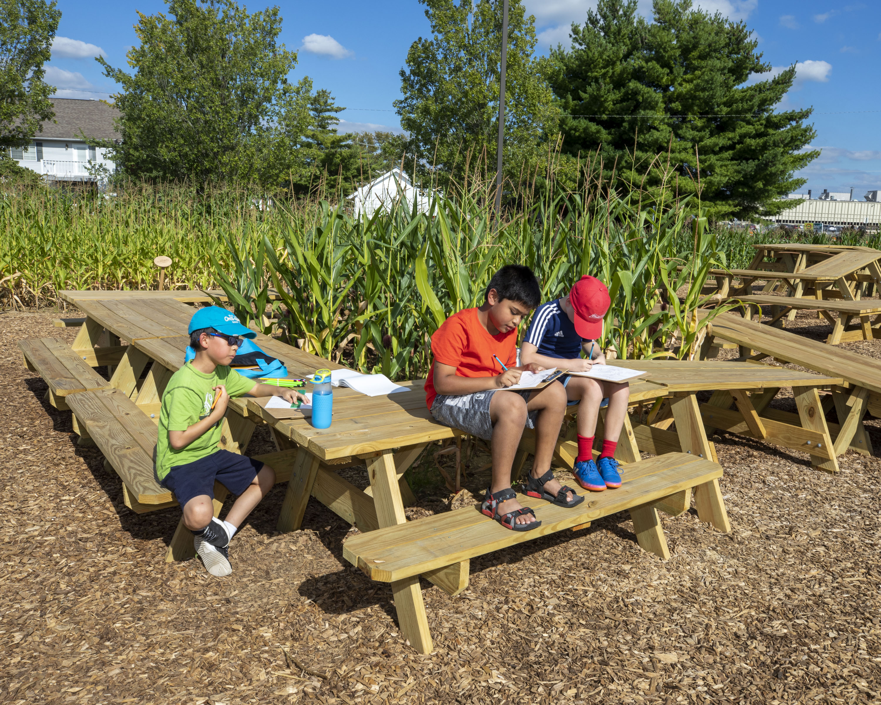 Children from Central Middle School working at a picnic table in our Corn / Meal installation