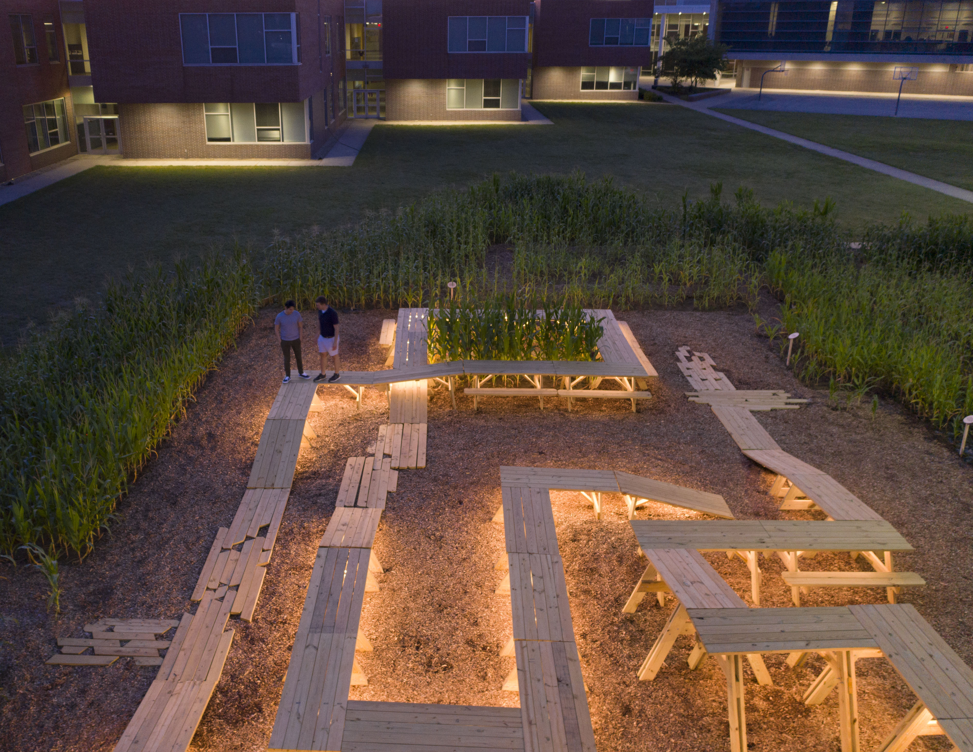 A view of Corn / Meal at night