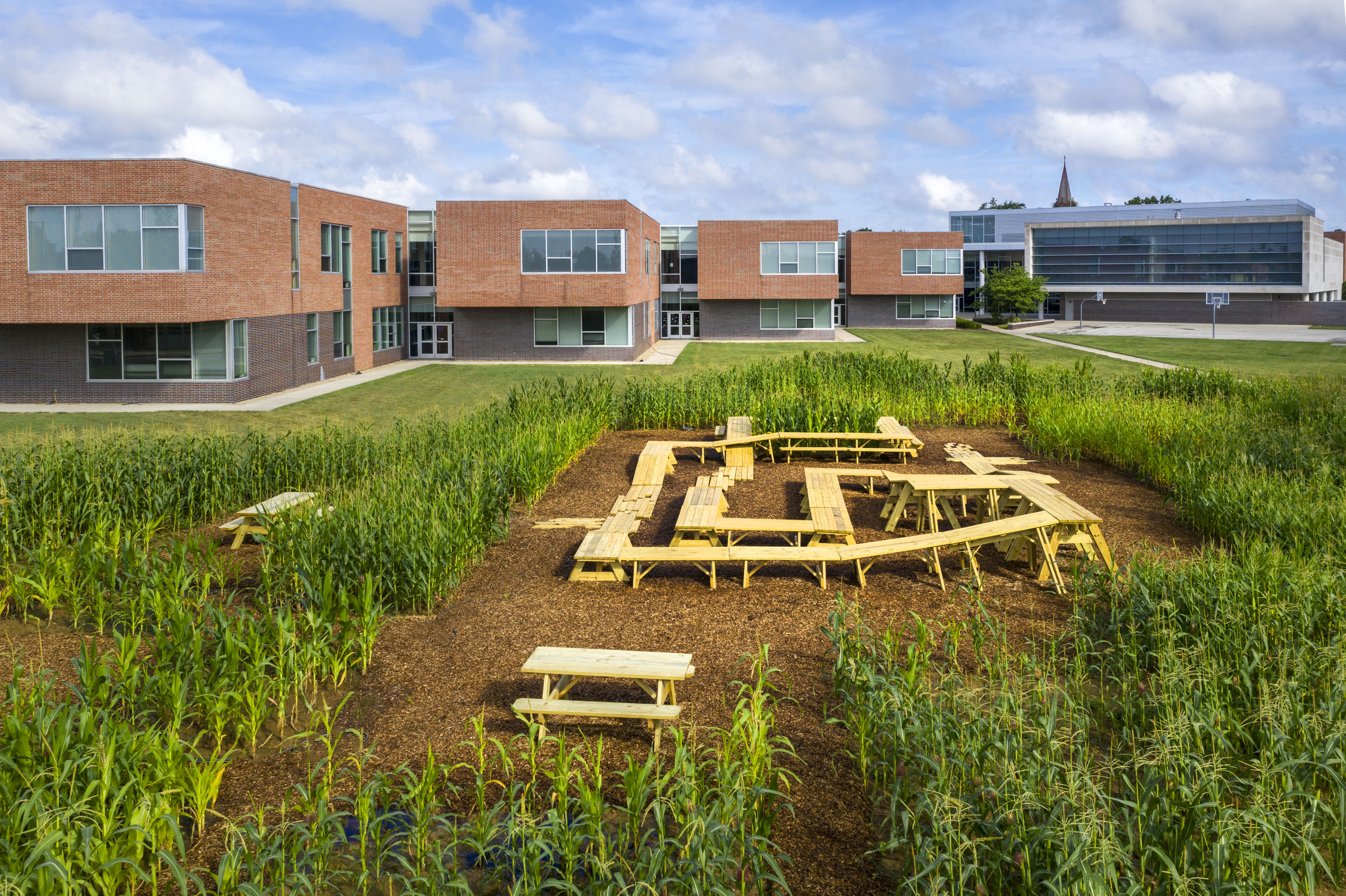 An aerial view of Corn / Meal