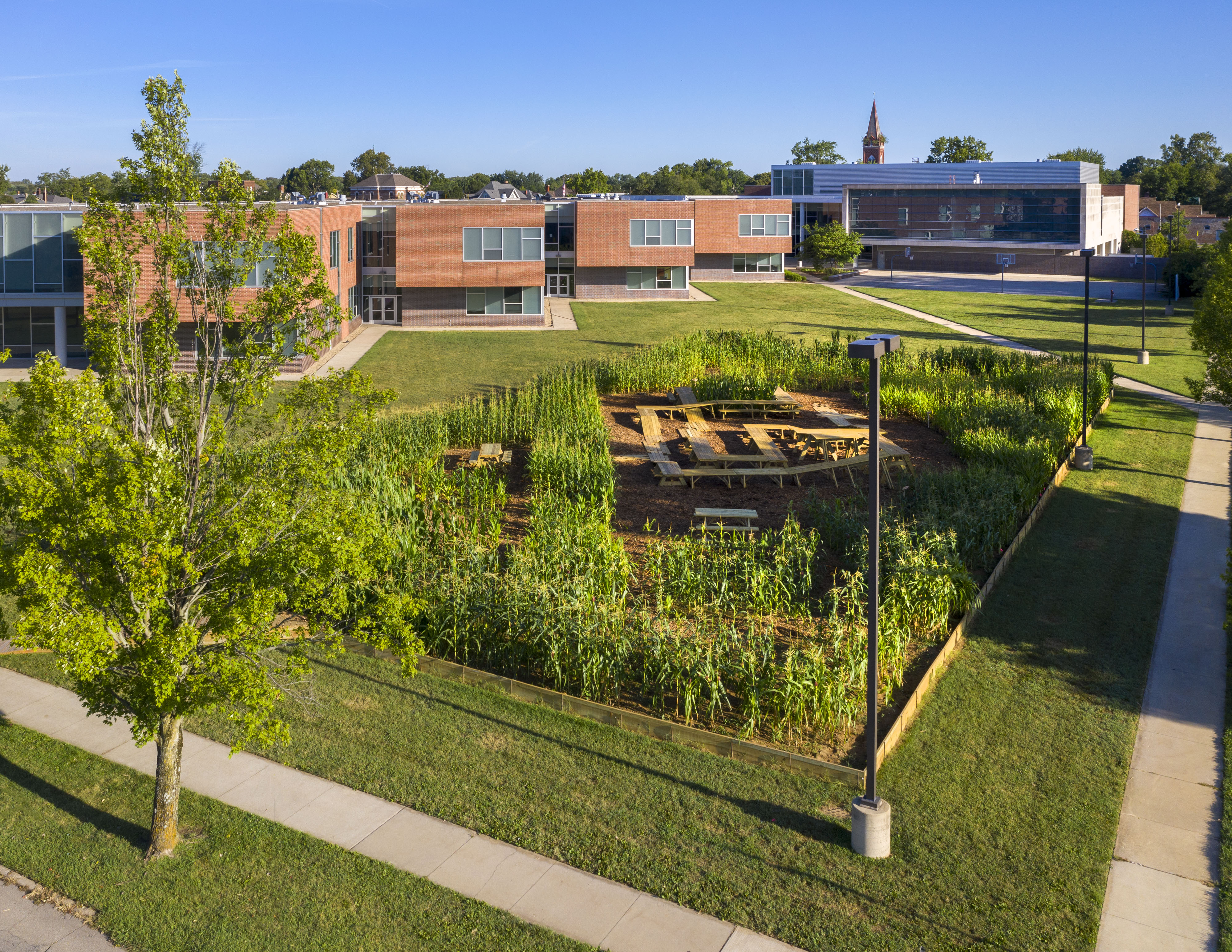 An aerial view of Corn / Meal