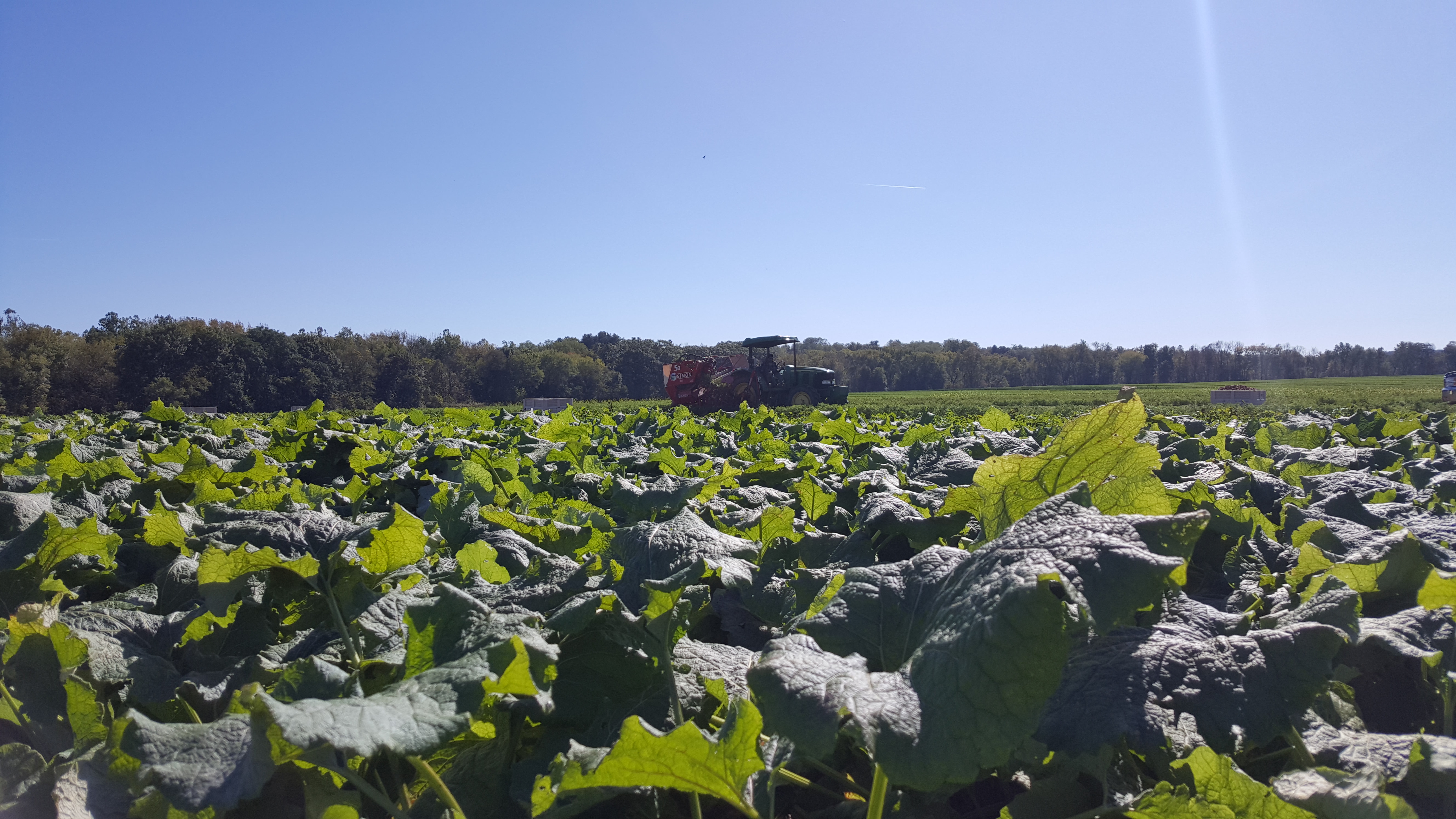 Hudson Valley Farm Hub