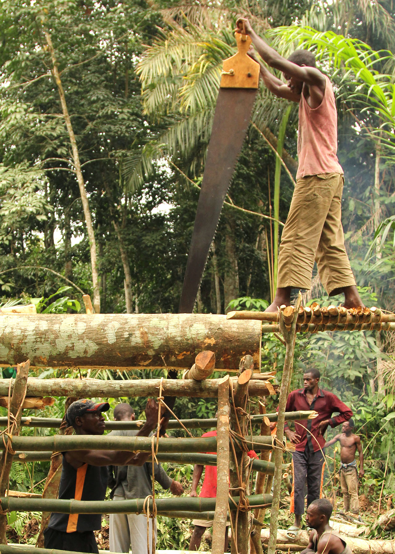 Photo of Ilima Primary School, Two carpenters working the manual saw to create lumbar