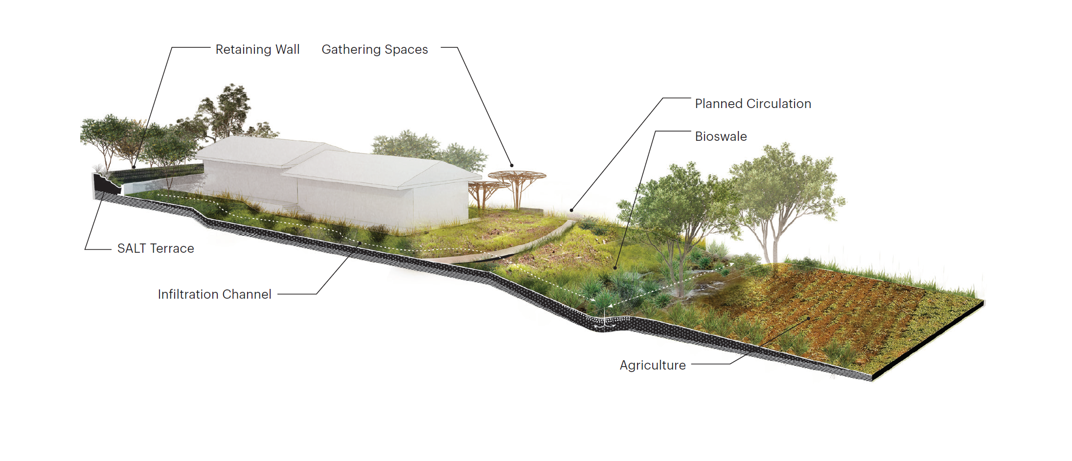 Manyara Axon Drawing