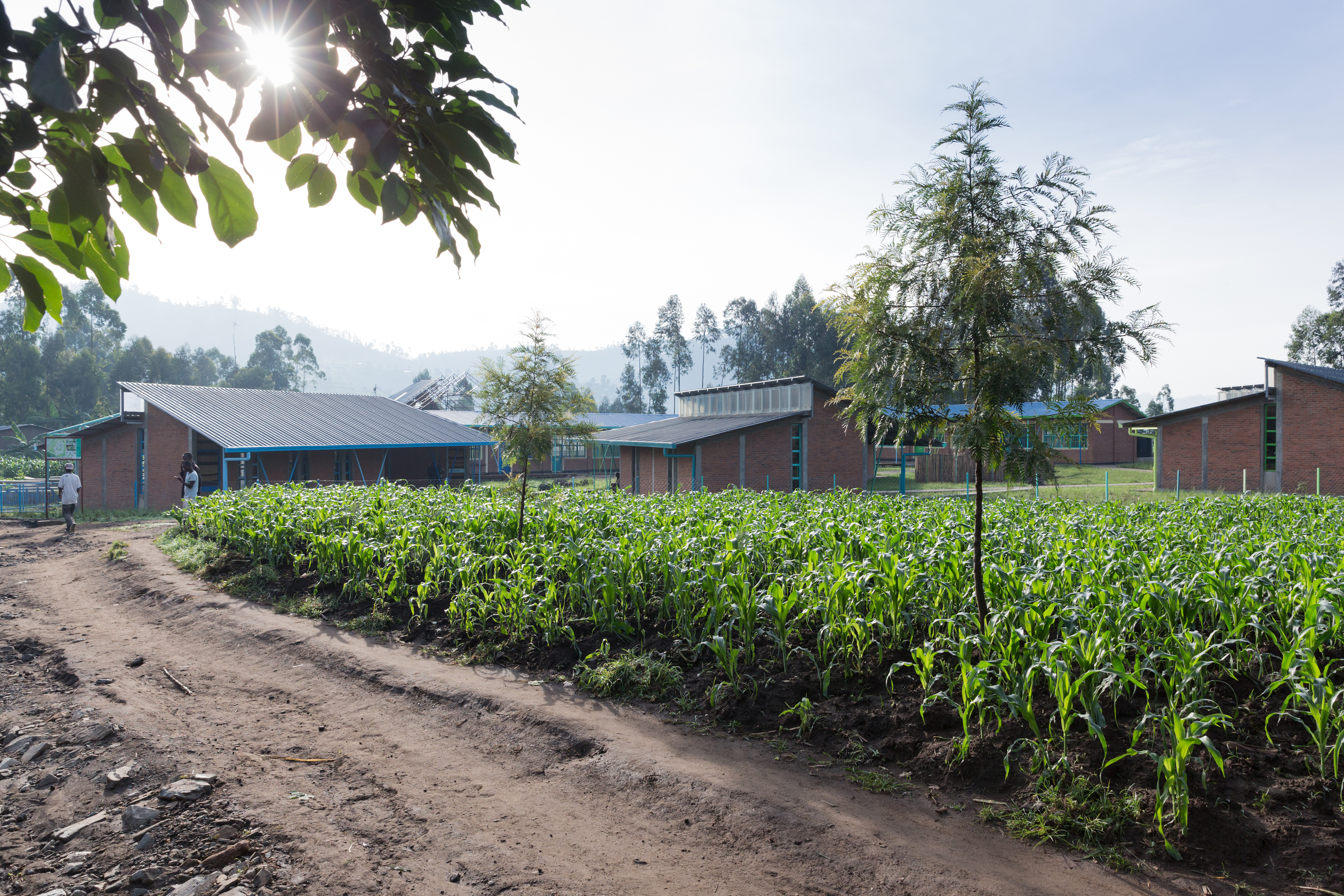 Photo of Mubuga Primary School, Photo by Iwan Baan, the exterior of the Mubuga Primary School