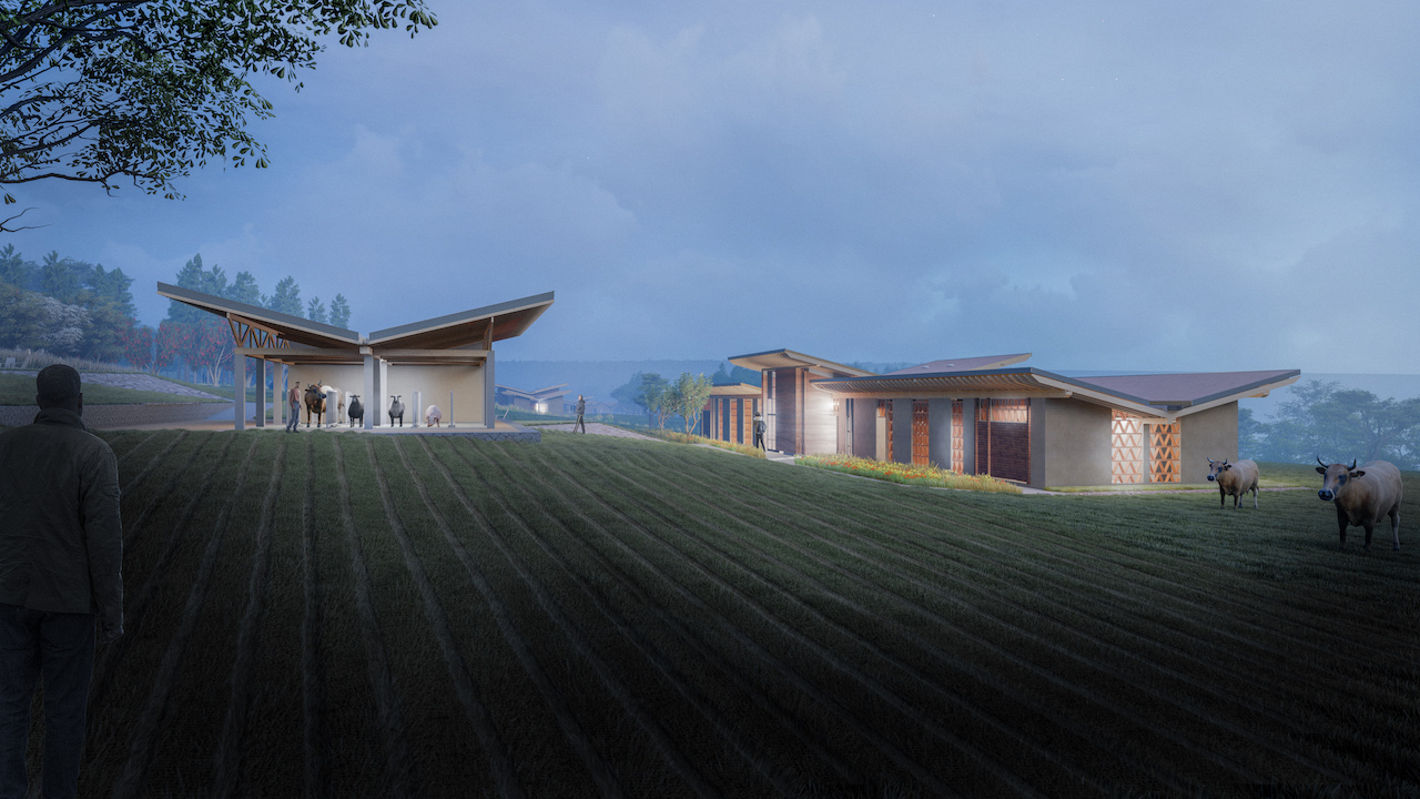 RICA First year farms